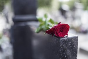 róża na grobie